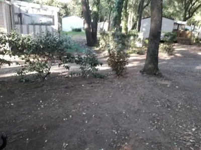 Jardin de l'établissement Mobil home Aventura 6-8 personnes tout confort
