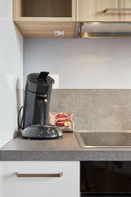 Cuisine ou kitchenette dans l'établissement Charme et confort entre jardin des plantes et LU