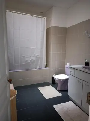 Salle de bains dans l'établissement Location maison de ville à 5 minutes du Puy du Fou !