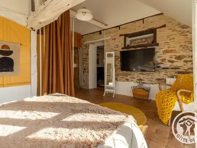 Télévision ou salle de divertissement dans l'établissement Charmante maison en Anjou Bleu, 2 pers, terrasse, poêle à bois, équipements bébé, cuisine équipée - FR-1-622-72