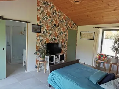 Télévision ou salle de divertissement dans l'établissement Charmante maisonnée à la campagne