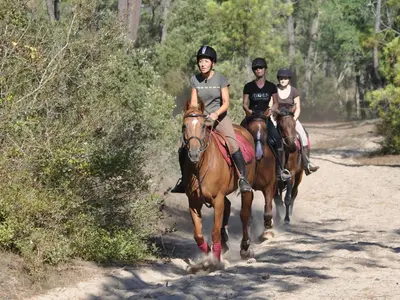 Équitation au sein de la maison de vacances ou à proximité