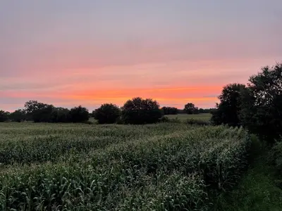 Lever ou coucher de soleil vu de le chalet ou à proximité