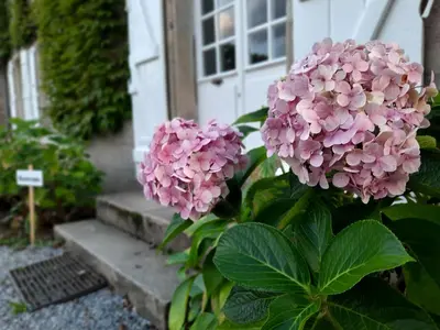 Jardin de l'établissement L'Essongère