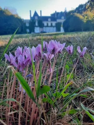 Paysage naturel près de le B&B/chambre d'hôtes
