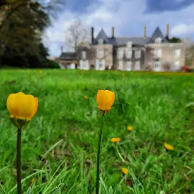 Jardin de l'établissement L'Essongère