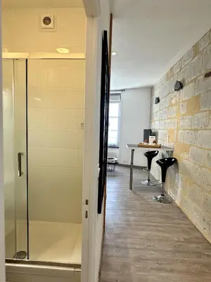 Salle de bains dans l'établissement Charmant studio hyper centre