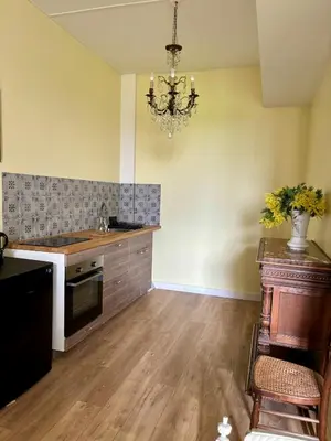 Cuisine ou kitchenette dans l'établissement Château de la Pervenchère gîte Exotique