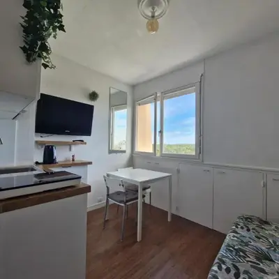 Studio - Marina 4 - 17 allée des Pinons - 5-1