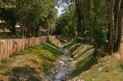 Paysage naturel près de le camping