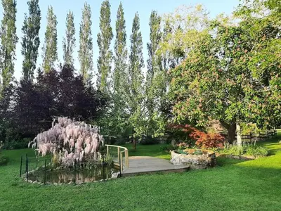 Jardin de l'établissement Logement atypique et charmant dans les marais, studio espace ouvert