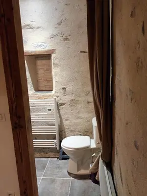 Salle de bains dans l'établissement Charmante chambre bords du louet .