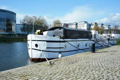 Vue sur la rivière ou le fleuve situé(e) à proximité de le bateau