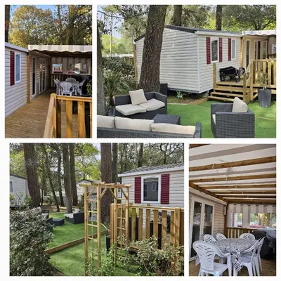 Jardin de l'établissement Mhstbrevin109