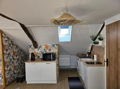 Cuisine ou kitchenette dans l'établissement Rêve de Loire