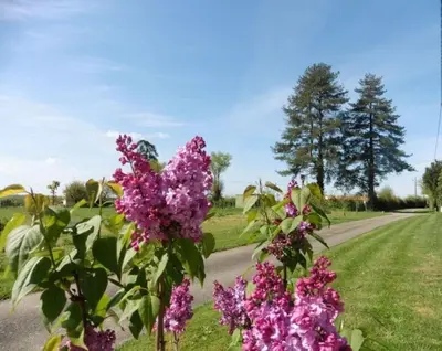 Jardin de l'établissement Gîte Le Grand Puy Loup