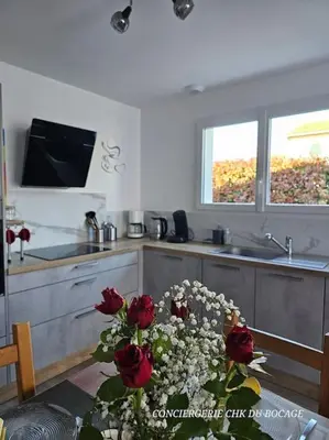 Cuisine ou kitchenette dans l'établissement Chez Tina jolie maison à 12 min du Puy du Fou