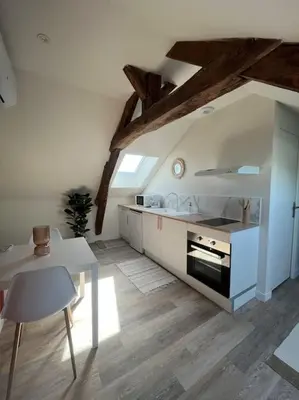 Cuisine ou kitchenette dans l'établissement *CASA Mendoza*