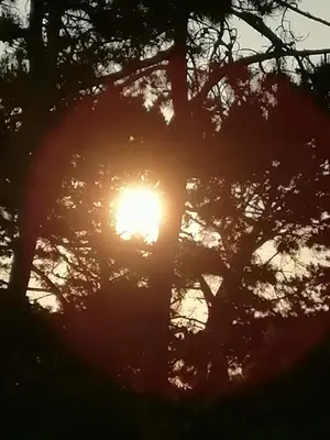 Lever ou coucher de soleil vu de l'appartement ou à proximité