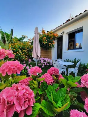 Jardin de l'établissement Cosy Studio Mezzanine 2 personnes Plage de Mardi Gras le Vieil
