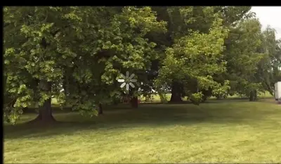 Jardin de l'établissement Les gîtes Albapetra