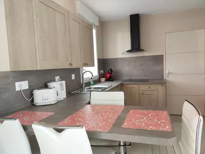 Cuisine ou kitchenette dans l'établissement Le palmier nantais
