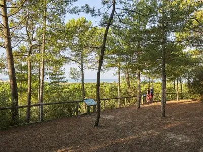 Paysage naturel près de la maison de vacances