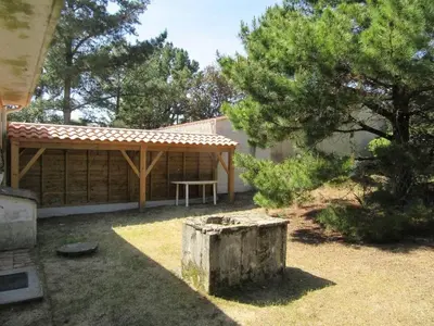 Jardin de l'établissement Pétrouchka dans les pins