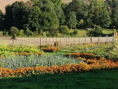 Jardin de l'établissement Gîte rustique avec 2 chambres, nature, animaux admis, wifi et parking - FR-1-622-78