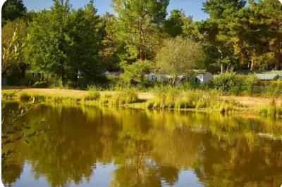 Paysage naturel près de le camping