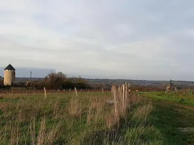 Paysage naturel près de l'appartement