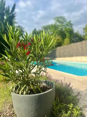 Piscine de l'établissement Gîte BEN & NAD proche du Puy DuFou ou située à proximité