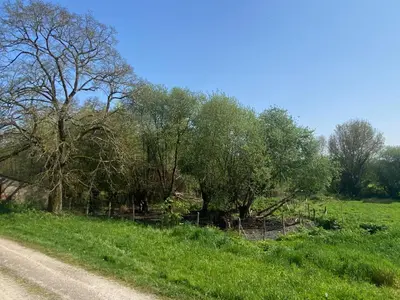 Paysage naturel près de l'appartement