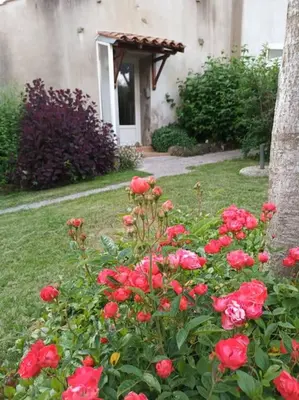 Jardin de l'établissement Gîte 80 m2 au calme et 20 mn de la mer