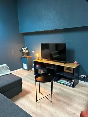 Télévision ou salle de divertissement dans l'établissement Duplex industriel sur l'île de Nantes