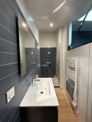 Salle de bains dans l'établissement Duplex industriel sur l'île de Nantes