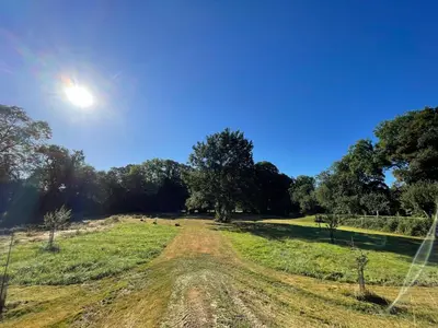 Paysage naturel près de la maison de vacances