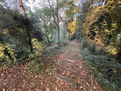 Jardin de l'établissement Le Prieuré Saint Pierre, gîtes et chambres d'hôtes dans un parc classé