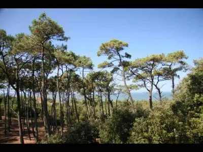 Paysage naturel près de l'appartement