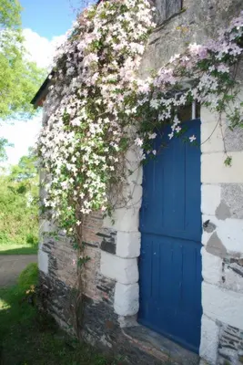 Jardin de l'établissement La Petite Boire - Chambres d'hôtes près d'Angers