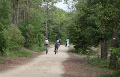 Clients de l'établissement Les Pivoines studio climatisé, proximité mer et forêt