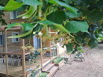 Jardin de l'établissement Sous les tilleuls