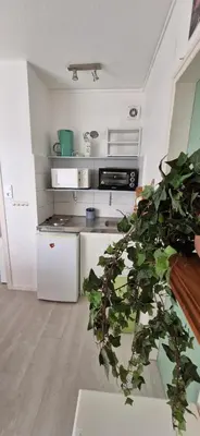 Cuisine ou kitchenette dans l'établissement Studio 30m plage - Marina 5 - 31 allée des pinons - 1-1