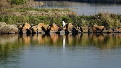 Paysage naturel près de l'appartement