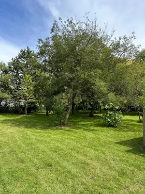 Jardin de l'établissement La salmoniere