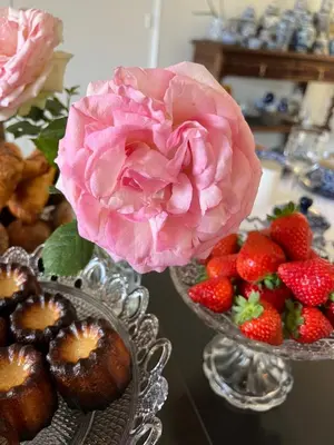 Nourriture dans l'appartement ou à proximité