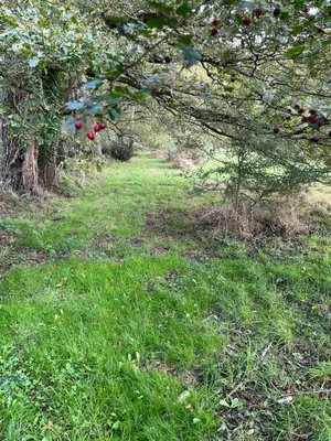 Jardin de l'établissement les Palmiers