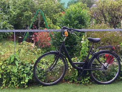 Vélo sur le terrain de l'établissement Chambre ville & campagne ou dans les environs