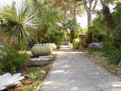 Jardin de l'établissement Les palmes de Jade
