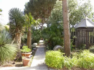 Jardin de l'établissement Les palmes de Jade